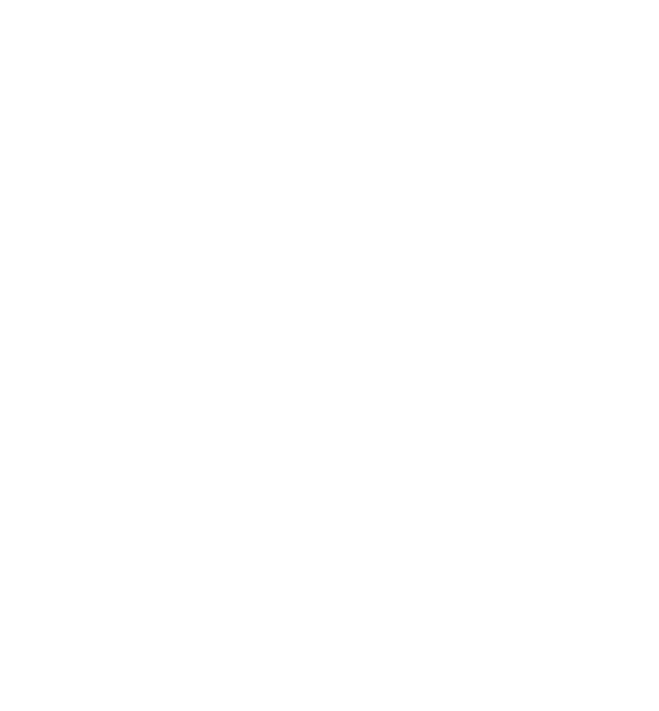 Varsity Logo